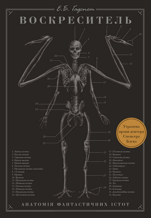 der Aufersteher Anatomie fantastischer Kreaturen